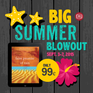 summer-sale-meme-promise